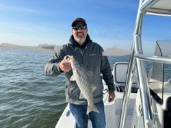 Striped bass caught while fishing in MD