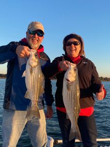 Striped bass fishing in Maryland
