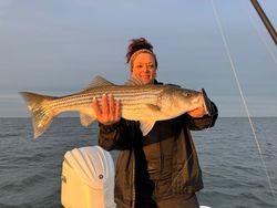 Striped bass caught while fishing in Maryland