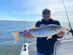 Striped bass caught while fishing in Maryland
