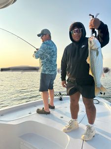 Striped bass caught in MD while fishing