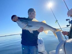 Striped bass fishing in Maryland