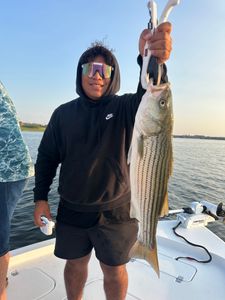 A striped bass caught in MD