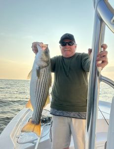 Striped bass caught fishing in MD