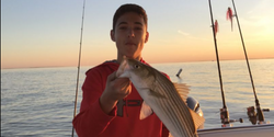 Two striped bass fish caught while fishing in Rock Hall