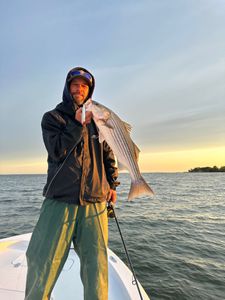Striped bass caught by one person in Rock Hall