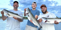 Three striped bass caught during a fishing trip in Rock Hall