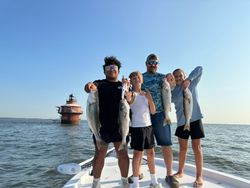 Three striped bass caught at Rock Hall