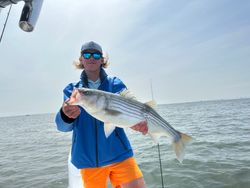 Striped bass fishing in MD