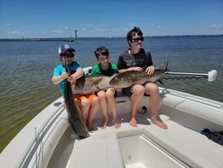 Nice Amberjack in Pensacola, FL