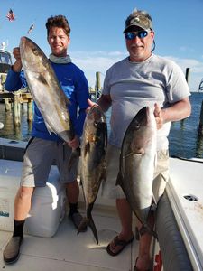 Caught Amberjacks in Pensacola!