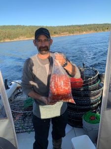 One person fishing in BC