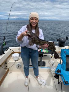 Lingcod fish caught while fishing in BC