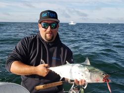 Boston Charter Boat, Little Tunny