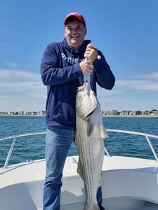 A nice Striped Bass
