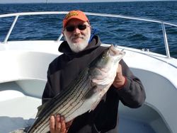 Boston Fishing Tour, Striped Bass