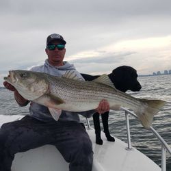 Sea Fishing Boston, Striped Bass