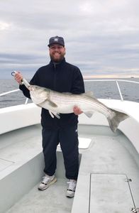 Striped bass caught fishing in MA