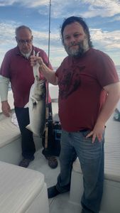 Bluefish caught while fishing in MA