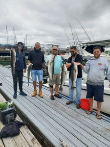 Boston Charter Boat