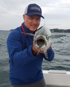 Fishing in MA