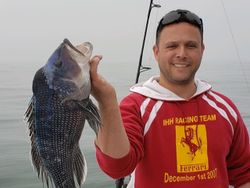 Fisherman catches a 14-inch sea bass in MA