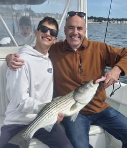 Striped bass caught by 3 anglers in MA