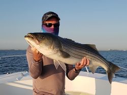 Striped bass caught fishing in MA