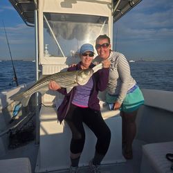 Striped bass caught while fishing in MA