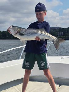 Striped bass caught by four people in MA