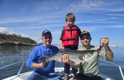 Striped bass caught while fishing in MA