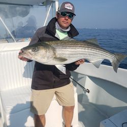 Striped bass caught while fishing in MA