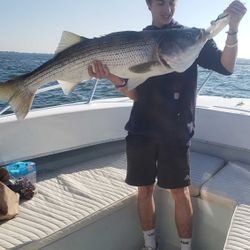 Striped bass caught in MA