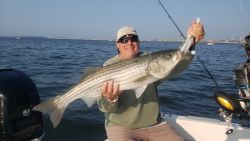 Striped bass fishing in MA