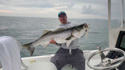 A striped bass caught while fishing in MA