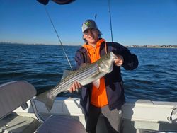 Striped bass caught while fishing in MA