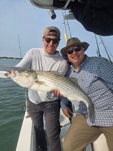 Striped Bass caught while fishing in MA