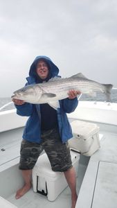 Striped Bass, 35-inch fish caught while fishing in MA