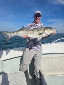 Striped bass caught while fishing in MA