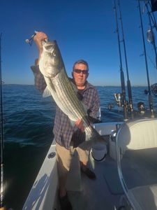 Striped bass caught while fishing in MA