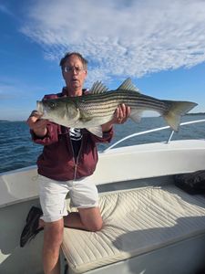 Striped bass caught while fishing in MA