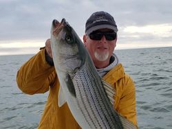 Striped bass caught fishing in MA
