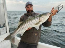 Striped bass caught while fishing in MA