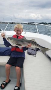 Striped bass caught on fishing trip in MA
