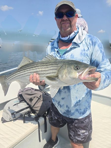 Striped bass caught in Winthrop