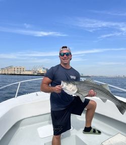 Striped bass caught while fishing in Winthrop