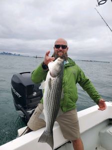 A striped bass caught in Winthrop