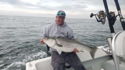 A striped bass caught in Winthrop while fishing