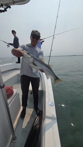 Striped bass caught while fishing in Winthrop