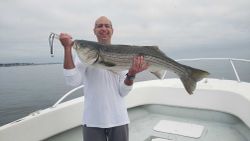 Striped bass caught fishing in Winthrop